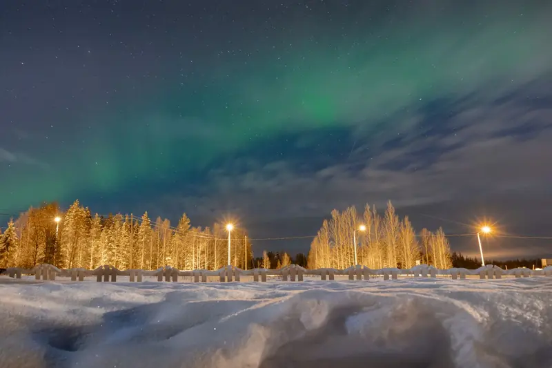 The Northern Lights over a snowy forest in Finnish Lapland