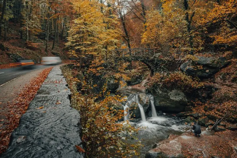 Rock formations in the wooded gorges near Echternach